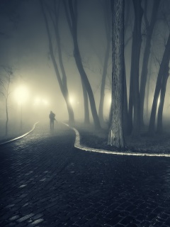 Пустынный лабиринт парковых дорожек обои