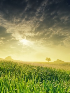 Безмятежность обои