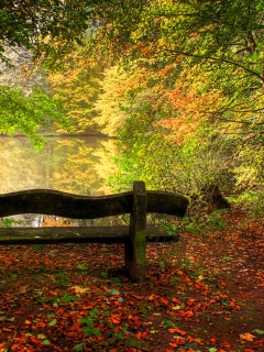 Скамейка в лесу обои