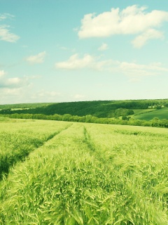 Бескрайние просторы обои