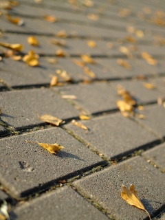 Тротуар обои