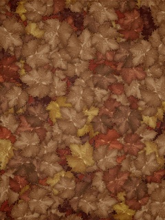 Осенние листья обои