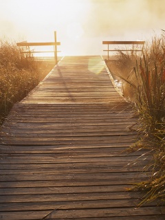 Выход к реке обои