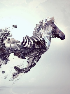 Зебра и бонсай обои