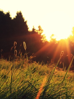 Красота природы обои