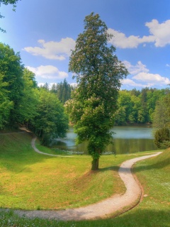 Прекрасная природа обои