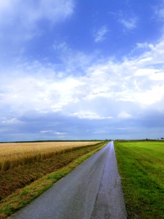 Сельский пейзаж обои