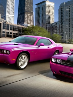 Два розовых мускулкара обои