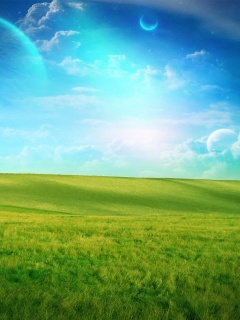 Луг на другой планете обои