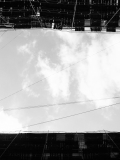 Человеческий муравейник обои