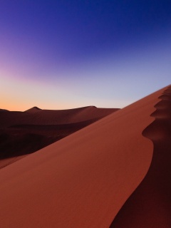 Люны в Намибии обои