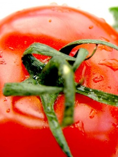 Свежая помидорка обои