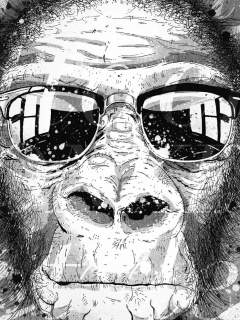 Макака в очках обои