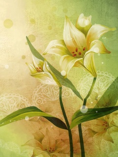 Красивое изображение лилии обои