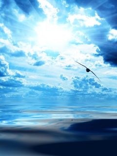 Лети как птица над волнами обои