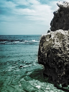 Коралловый риф обои