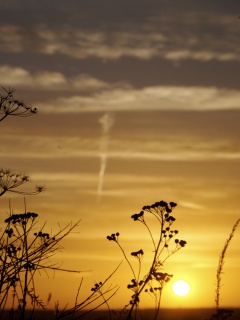 Степной закат обои