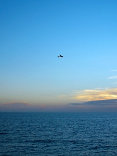 Паращий над морем обои