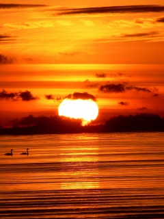 Великолепный рассвет обои