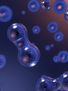 Деление обои