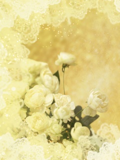 Бежевые кружева и розы обои