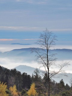 Холмы в тумане обои