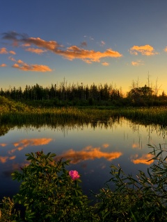 Вечерний закат обои