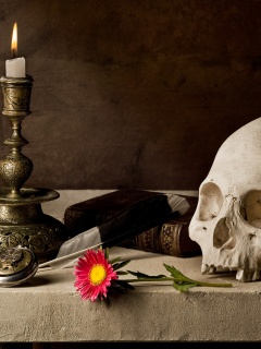 Проблеск в темноте обои