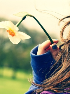 Девушка с нарциссом в руке обои