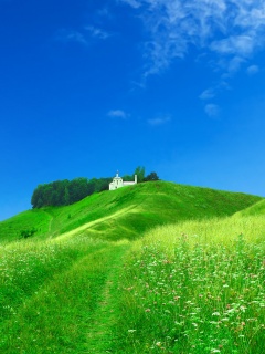 Летние холмы обои