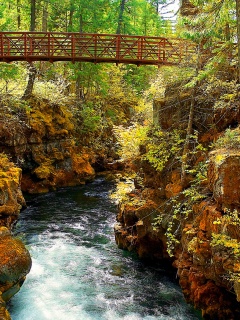 Мостик через реку в лесу обои
