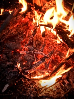 Костёр крупным планом обои