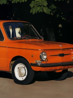 Оранжевый ушастый запорожец обои