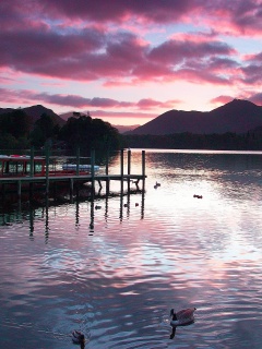 Причал на озере и утки обои