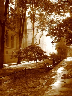 Аллея у здания обои