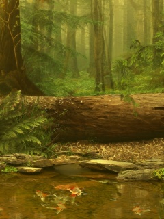 Лесной пейзаж обои