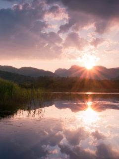 Закат за лесом обои