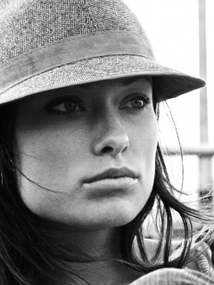 Оливия Уайлд в шикарной шляпе обои