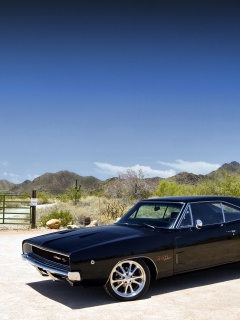 Мускулкар под палящим солнцем обои