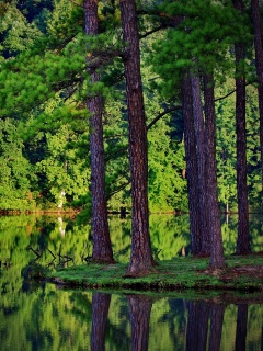 Островок посреди озера обои