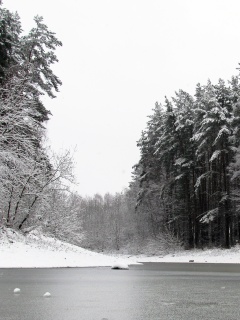 Зимняя дорога обои