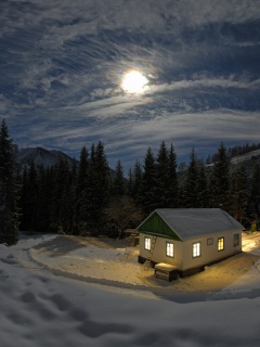 Один в зимнем лесу обои