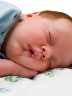 Спящая прелесть обои