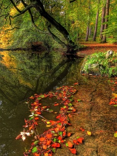 Пейзаж обои