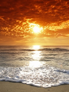 Берег моря в лучах заката обои