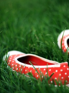 Красные тапки в горошек обои