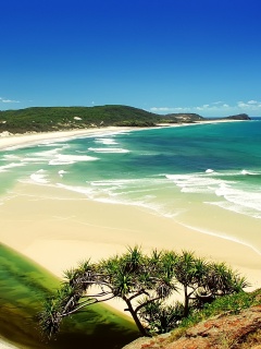 Береговая коса обои