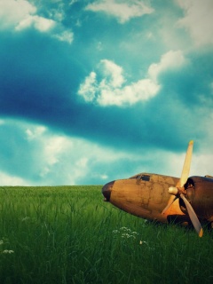 Старый ржавый самолет на лугу обои