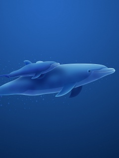 Дельфин и дельфиненок обои