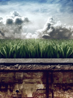 По другю сторону обои